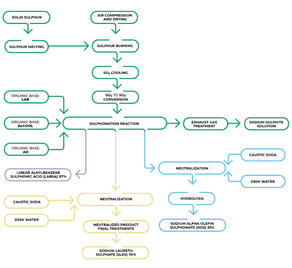 Plant chart Sulphonation